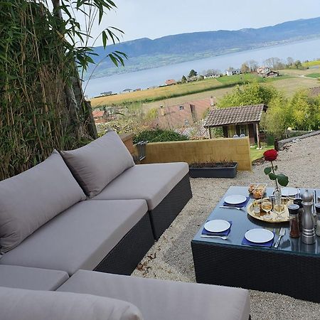 Chalet With Stunning Lake And Mountain Views Avec Une Vue A Couper Le Souffle, Une Spacieuse Terrasse Et Jardin Chatillon  Bagian luar foto