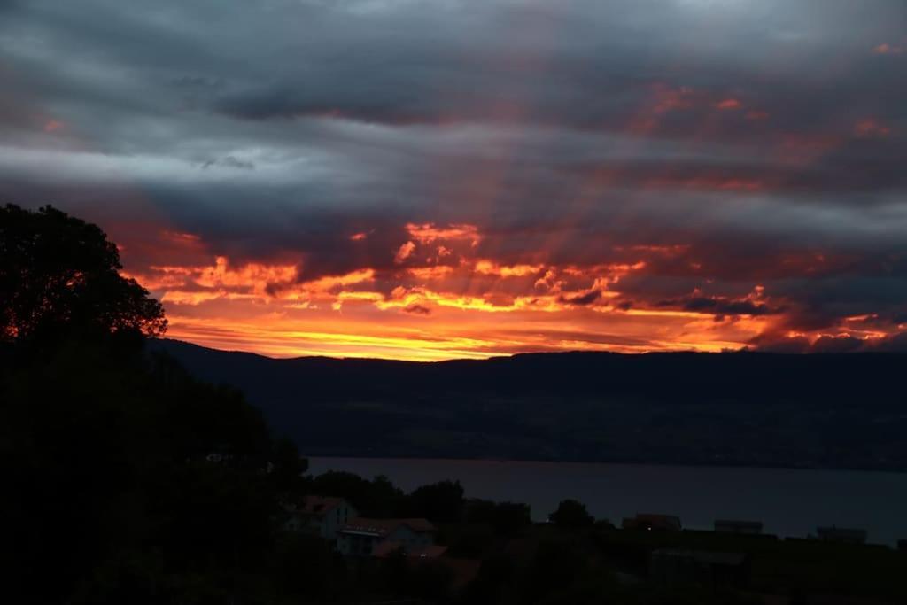 Chalet With Stunning Lake And Mountain Views Avec Une Vue A Couper Le Souffle, Une Spacieuse Terrasse Et Jardin Chatillon  Bagian luar foto