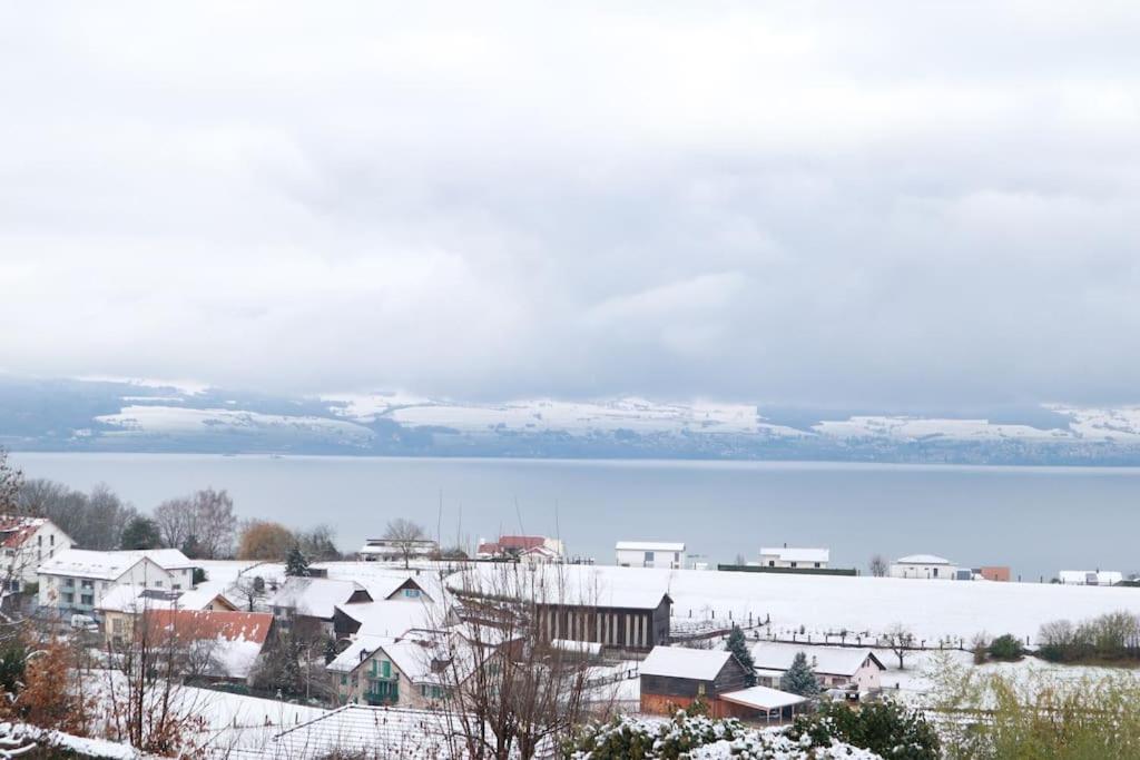 Chalet With Stunning Lake And Mountain Views Avec Une Vue A Couper Le Souffle, Une Spacieuse Terrasse Et Jardin Chatillon  Bagian luar foto