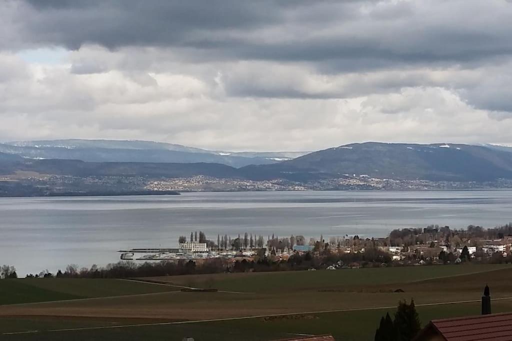 Chalet With Stunning Lake And Mountain Views Avec Une Vue A Couper Le Souffle, Une Spacieuse Terrasse Et Jardin Chatillon  Bagian luar foto