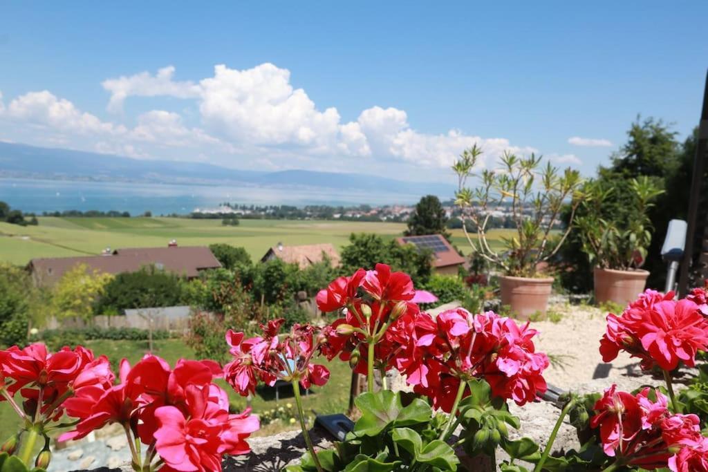 Chalet With Stunning Lake And Mountain Views Avec Une Vue A Couper Le Souffle, Une Spacieuse Terrasse Et Jardin Chatillon  Bagian luar foto
