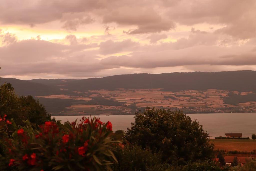 Chalet With Stunning Lake And Mountain Views Avec Une Vue A Couper Le Souffle, Une Spacieuse Terrasse Et Jardin Chatillon  Bagian luar foto
